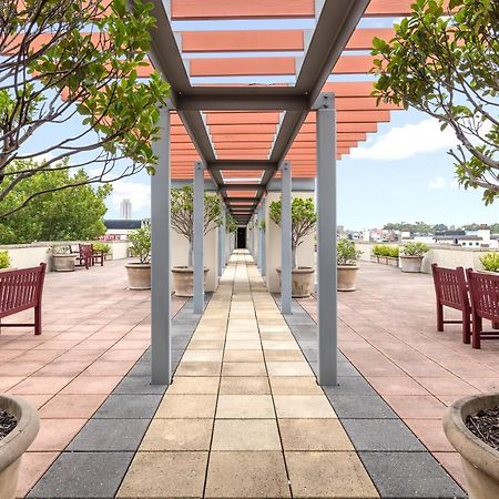 Nesuto Chippendale Aparthotel Sydney Luaran gambar
